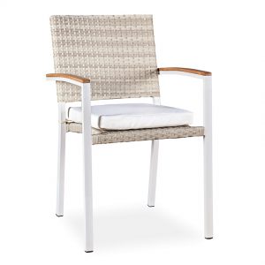 Aluminyum Rattan Sandalye NEO-880001T