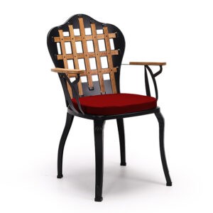Ahşap Sırtlı Metal Sandalye NEO-120015T