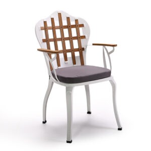 Ahşap Sırtlı Metal Sandalye NEO-120015T