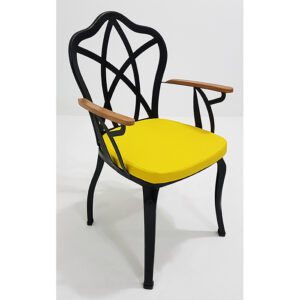 Restaurant Metal Sandalye NEO-120018T