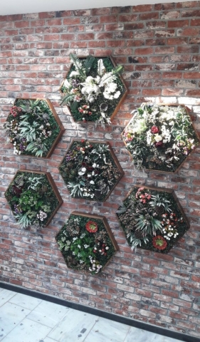Cafe Restaurant Dikey Bahçe-44 Cafe Restaurant Dikey Bahçe-44