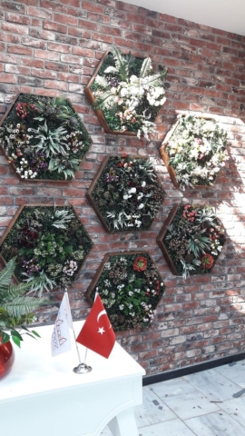 Cafe Restaurant Dikey Bahçe-45 Cafe Restaurant Dikey Bahçe-45