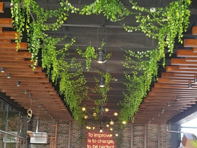 Cafe Restaurant Tavan Çiçek-15 Cafe Restaurant Tavan Çiçek-15