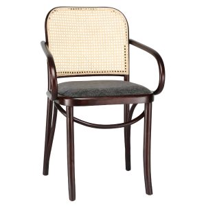 Kollu Thonet İç Mekan Sandalye NEO-900912T